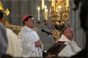 CENTENARIO DE LAS APARICIONES DE LA VIRGEN EN FÁTIMA CENTENARIO DE LAS APARICIONES DE LA VIRGEN EN FÁTIMA